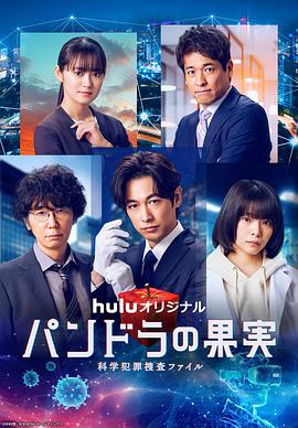 西湖区seo哪家优惠